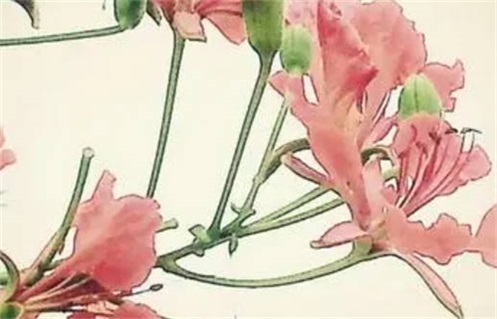 2025年农历正月廿七是不是动土吉日 今日动土好不好 2025年农历正月廿七是不是动土吉日 今日动土好不好