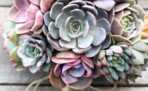 2025年02月18日结婚黄道吉日 宜办喜事吉日查询 2025年02月18日结婚黄道吉日 宜办喜事吉日查询