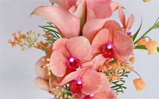 2025年农历三月廿九结婚黄道吉日 宜办喜事吉日查询 2025年农历三月廿九结婚黄道吉日 宜办喜事吉日查询