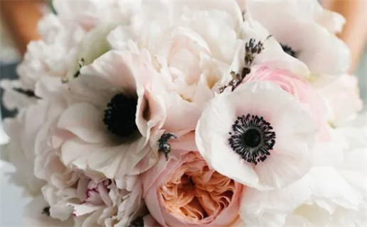 2025年03月13日是领证好日子吗 宜登记领证吉日查询 2025年03月13日是领证好日子吗 宜登记领证吉日查询