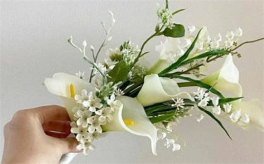 2025年农历二月廿六领证好吗 宜领证结婚吉日查询 2025年农历二月廿六领证好吗 宜领证结婚吉日查询