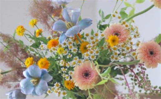 2025年农历四月十二领证好不好 登记结婚吉利吗 2025年农历四月十二领证好不好 登记结婚吉利吗