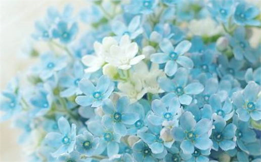 2025年农历三月十九领证日子如何 登记结婚吉利吗 2025年农历三月十九领证日子如何 登记结婚吉利吗