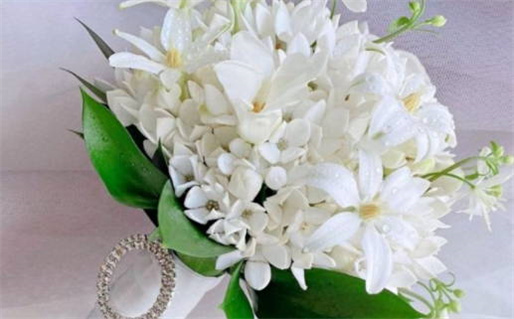 2025年04月05日领证日子如何 宜登记结婚吉日查询 2025年04月05日领证日子如何 宜登记结婚吉日查询