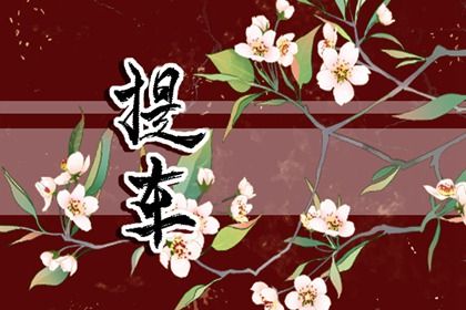 2025年农历二月初九提车吉日查询 提车吉利吗 2025年农历二月初九提车吉日查询 提车吉利吗