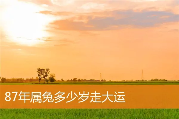 87年属兔多少岁走大运
