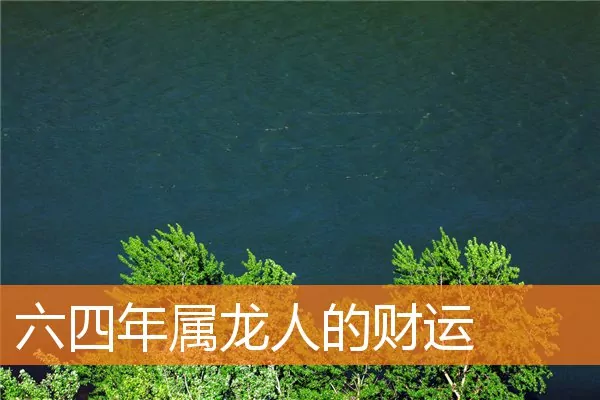 六四年属龙人的财运