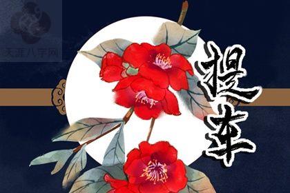 2025年09月29日是提车好日子吗 提车买车吉利吗 2025年09月29日是提车好日子吗 提车买车吉利吗