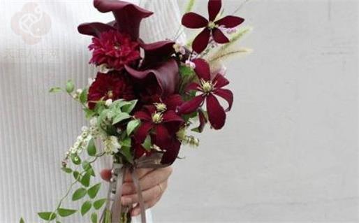 2025年10月20日领证好不好 今日登记领证好不好 2025年10月20日领证好不好 今日登记领证好不好