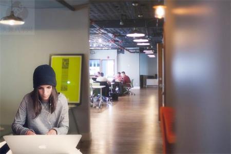 办公桌适合放什么植物，风水好吊兰招财进宝