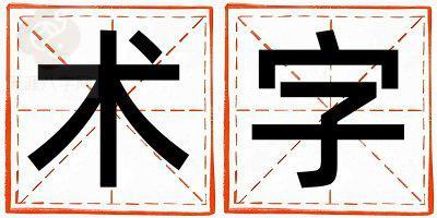 术字五行属什么 术字男孩最佳组合名字