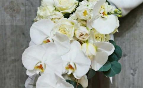 2025年11月23日是不是结婚吉日 是办喜事好日子吗