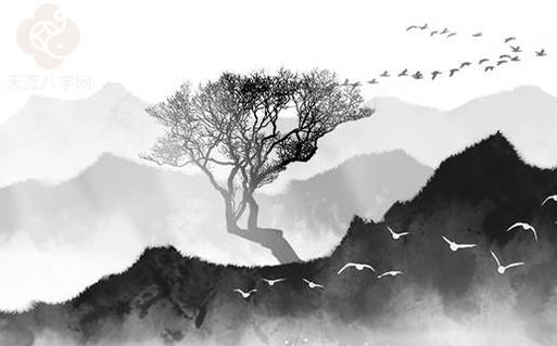 2025年11月19日动土好不好 宜建筑房屋吉日查询 2025年11月19日动土好不好 宜建筑房屋吉日查询