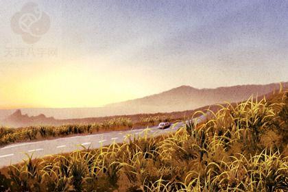 2025年农历十月十二提车日子如何 今日提车买车好吗 2025年农历十月十二提车日子如何 今日提车买车好吗