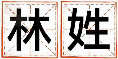 林姓有新意的男孩名字,取什么名字好