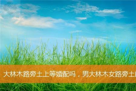 大林木路旁土上等婚配吗，男大林木女路旁土的夫妻命运如何