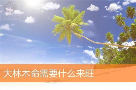 大林木命需要什么来旺