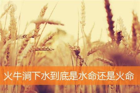 火牛涧下水到底是水命还是火命