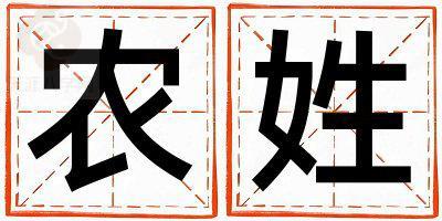 农姓朗朗上口的女宝宝名字
