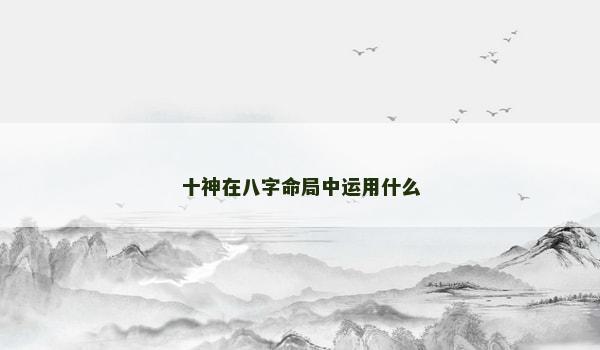 十神在八字命局中运用什么 十神在八字命局中运用什么