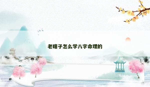 老瞎子怎么学八字命理的 老瞎子怎么学八字命理的