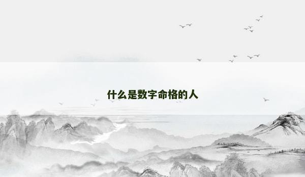 什么是数字命格的人 什么是数字命格的人