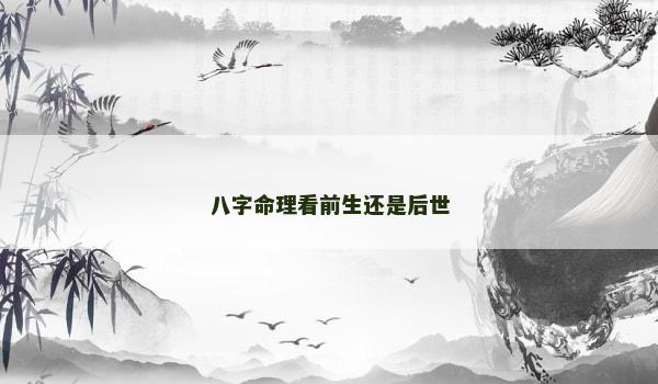 八字命理看前生还是后世 八字命理看前生还是后世