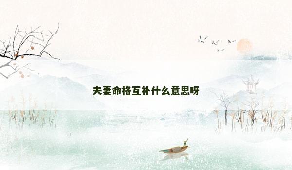 夫妻命格互补什么意思呀 夫妻命格互补什么意思呀