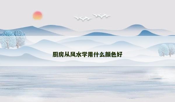 厨房从风水学用什么颜色好