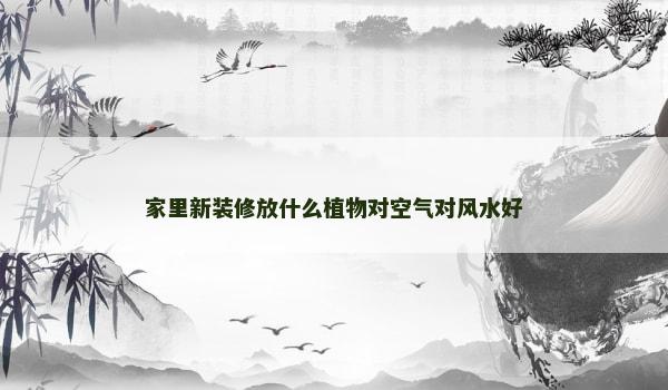 家里新装修放什么植物对空气对风水好 家里新装修放什么植物对空气对风水好