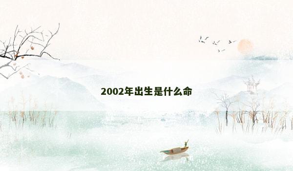 2002年出生是什么命 2002年出生是什么命