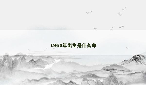 1960年出生是什么命 1960年出生是什么命
