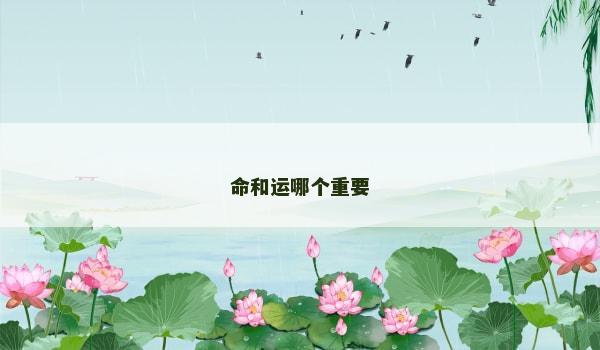 命和运哪个重要
