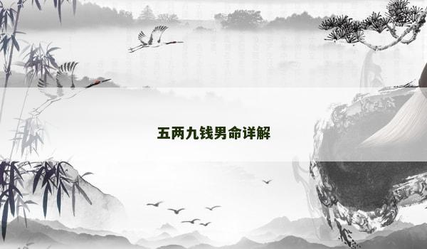 五两九钱男命详解 五两九钱男命详解