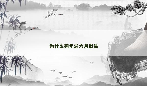 为什么狗年忌六月出生