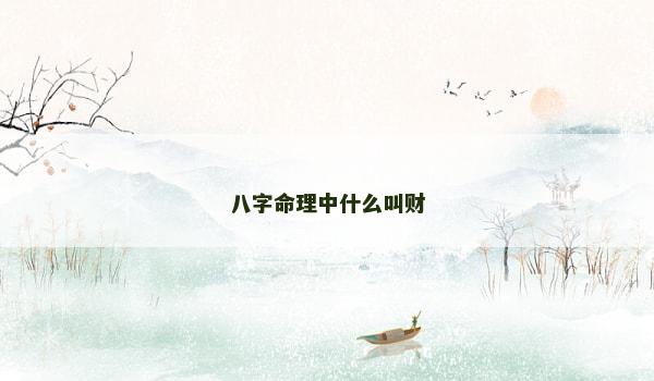 八字命理中什么叫财