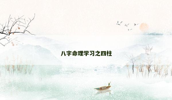 八字命理学习之四柱