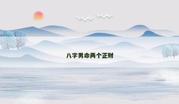 八字男命两个正财