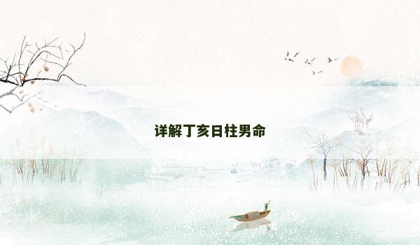 详解丁亥日柱男命