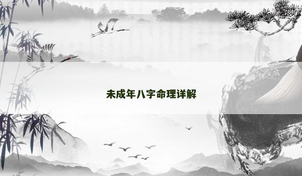 未成年八字命理详解