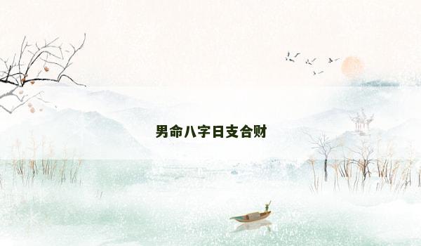 男命八字日支合财