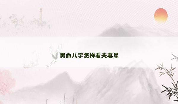 男命八字怎样看夫妻星