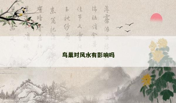 鸟巢对风水有影响吗
