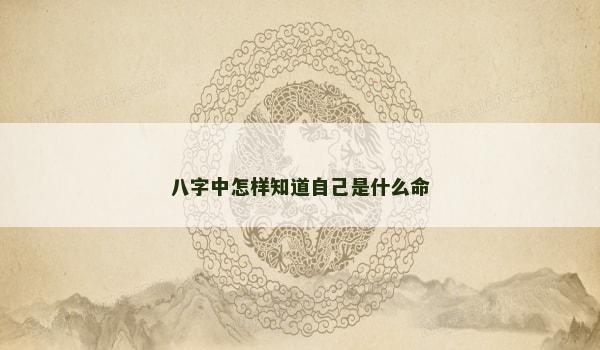 八字中怎样知道自己是什么命