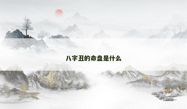 八字丑的命盘是什么