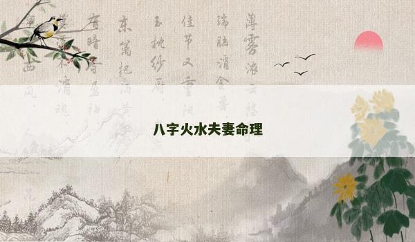 八字火水夫妻命理