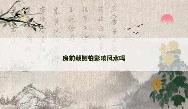 房前栽侧柏影响风水吗