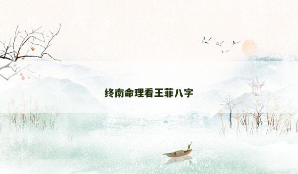 终南命理看王菲八字