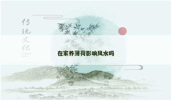 在家养薄荷影响风水吗