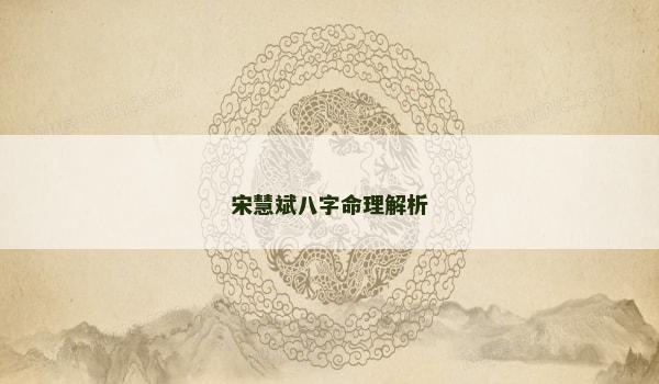 宋慧斌八字命理解析